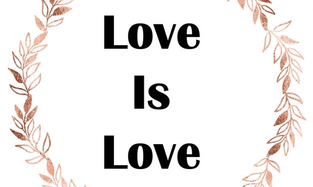 Love is Love – Perfect Wedding Guide